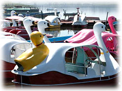 �����Ń{�[�g�ɏ��