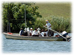 ��؂̓n���őD�ɏ��