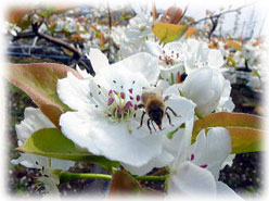 �L�����̌�z