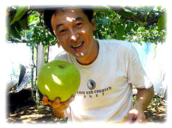 かおり梨イメージ