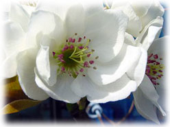 �K���Ȃ��C���[�W