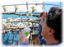 �V�����C���[�W